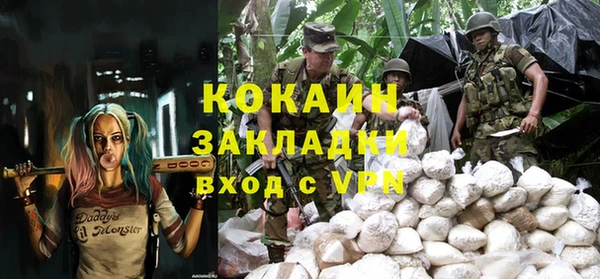 прущие крисы Горняк