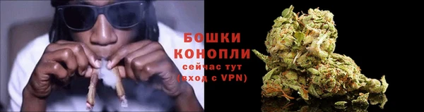 прущие крисы Горняк