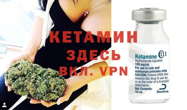 прущие крисы Горняк